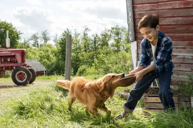 Filmy familijne: co oglądać? Nowości i klasyki dla całej rodziny!