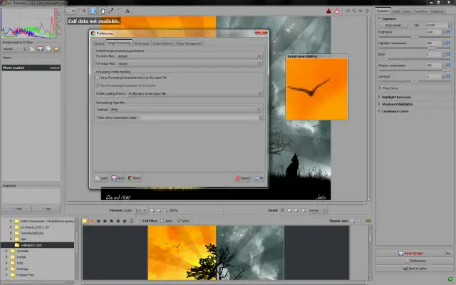 RawTherapee po polsku - Jak włączyć język i opanować interfejs?