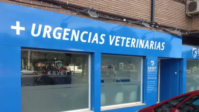 Encuentra el mejor veterinario en Alcorcón para tu mascota hoy