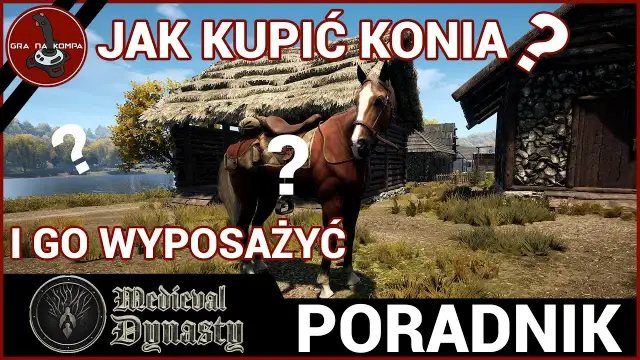 Gdzie kupić konia w Polsce? Uniknij pułapek! Poradnik.