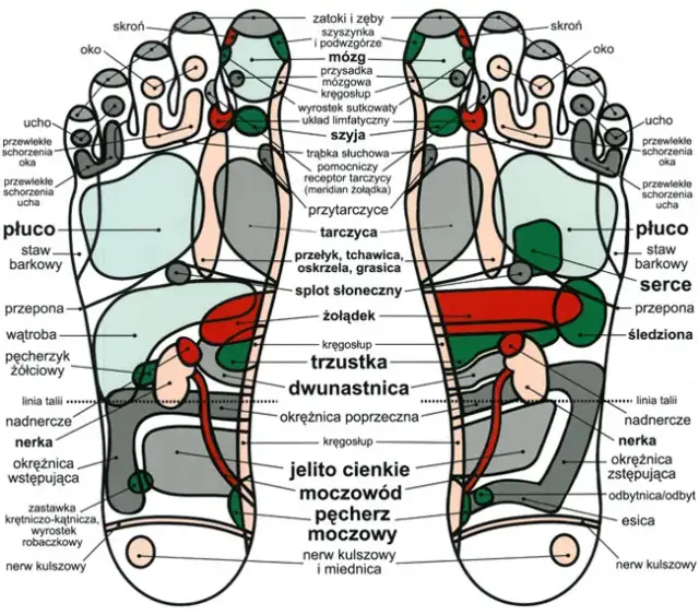Punkty akupunktury na stopach: Mapa zdrowia i ulgi w bólu