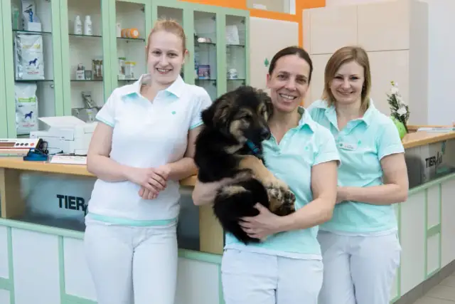 Was kostet eine Tollwutimpfung für Hunde? Wichtige Preisinformationen