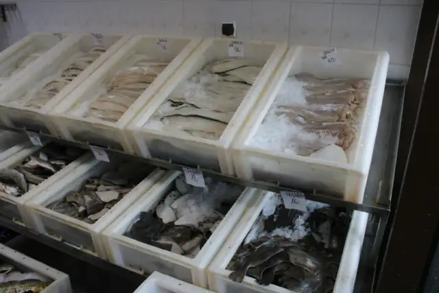 Gdzie kupić świeżą rybę w Kołobrzegu? Sprawdź najlepsze miejsca