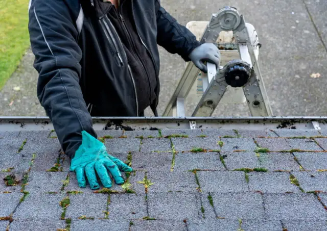 Jak usunąć mech z dachu? Skuteczny poradnik DIY i profesjonalny