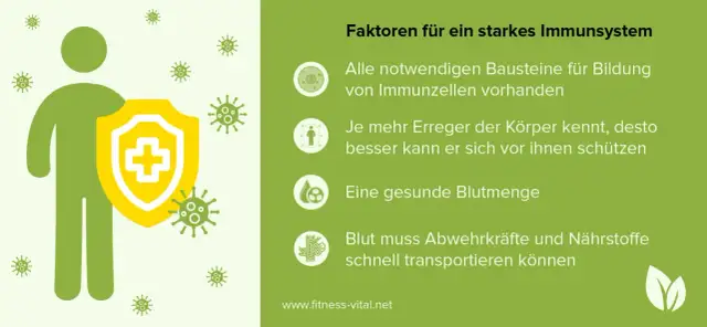 Immunsystem im Keller stärken: So vermeiden Sie gesundheitliche Risiken