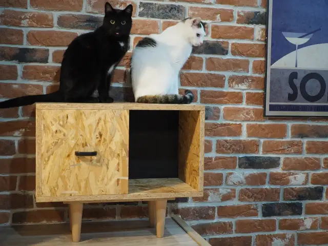 Jak zrobić szafę z płyty OSB - krok po kroku do idealnego mebla