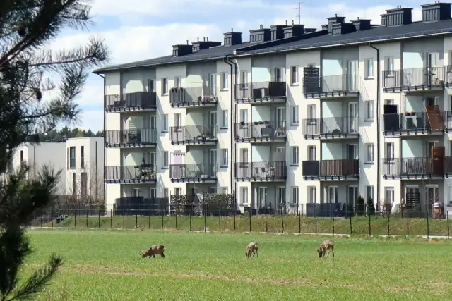 Co to osiedle mieszkaniowe? Definicja, rodzaje, historia i trendy