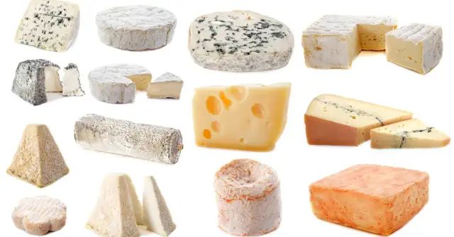Czy ser tuczy? Odkryj, które sery sprzyjają przyrostowi wagi