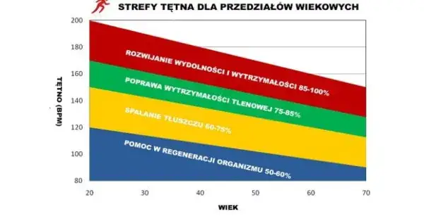 Strefy tętna: Jak biegać efektywniej i spalać tłuszcz?