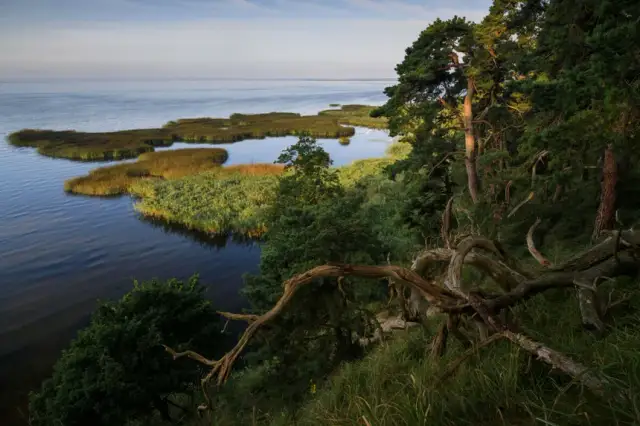 Ile Polska ma wysp na Bałtyku? Zaskakujące fakty o wyspach!