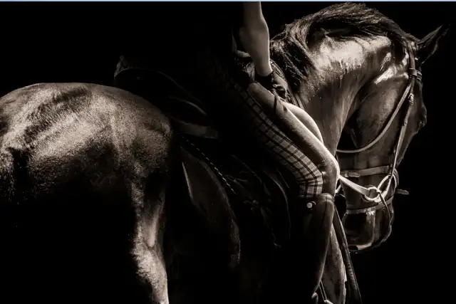 Jak nauczać jeździectwa: skuteczne metody, które zmienią twoje lekcje