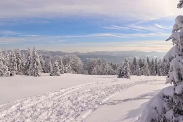 Temperatura w Suchej Beskidzkiej: aktualne dane i prognozy