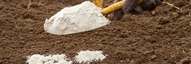 Kiedy stosować dolomit na trawnik, aby uniknąć problemów z glebą