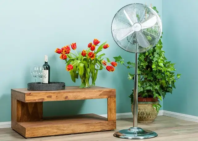 Wentylator kolumnowy czy wiatrak? Zaskakujące różnice, które musisz znać