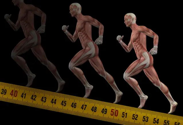 Jakie mięśnie pracują podczas biegu? Popraw technikę i unikaj kontuzji