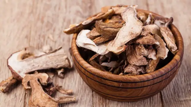 Ile prądu pobiera suszarka do grzybów i jak obniżyć koszty?