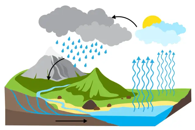 Jak żyła wodna wpływa na środowisko i geologię w Twojej okolicy