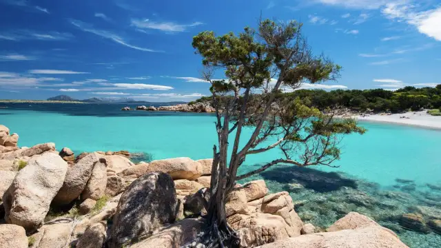 Jakie morze jest we Włoszech? Odkryj tajemnice włoskich akwenów