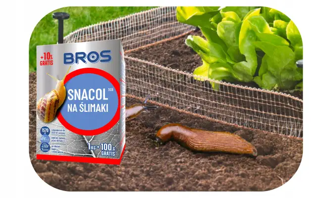 Niebieskie granulki na ślimaki – czy naprawdę są szkodliwe dla ludzi?