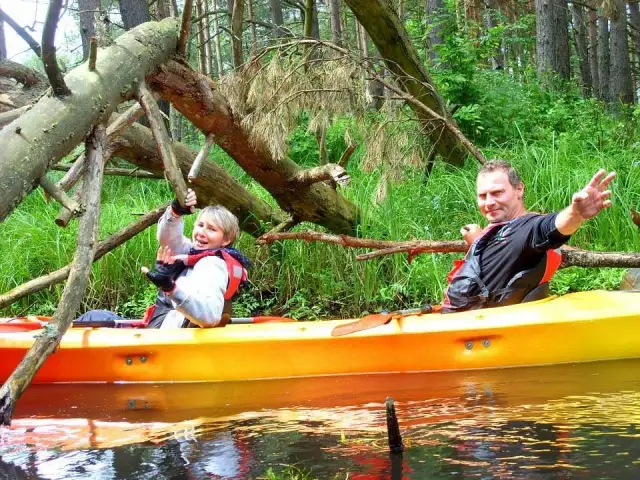 Spływ kajakowy Pliszka – najlepsze trasy i porady na udaną przygodę