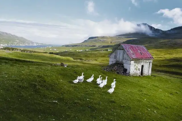 Wyspy Owcze – co to za kraj i jaka jest ich autonomia w Danii?