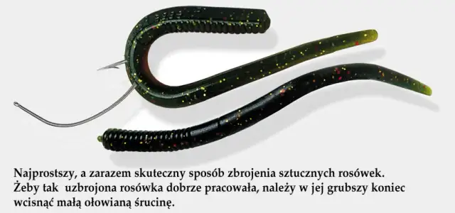 Jak założyć dżdżownice na haczyk, aby zwiększyć szanse na ryby