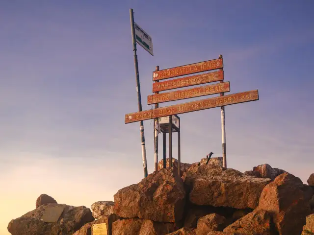 Szczyt Lenana na Mt Kenya, 4985 m n.p.m. Gratulacje dla zdobywców!