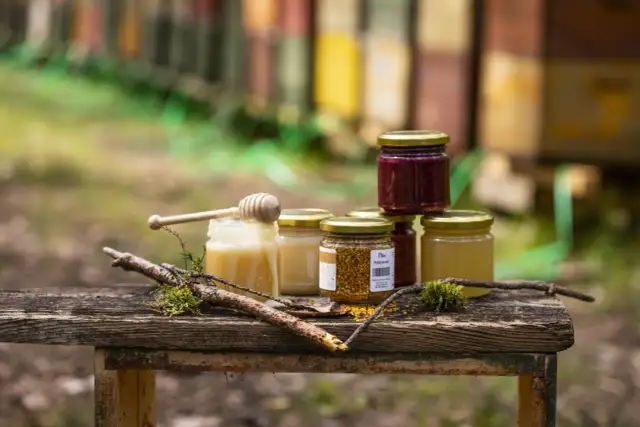 Jaki miód wybrać? Odkryj zdrowotne właściwości i rodzaje miodu