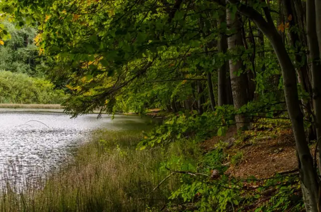 Jezioro Skrzyneckie - piękne miejsce na wędkowanie i relaks