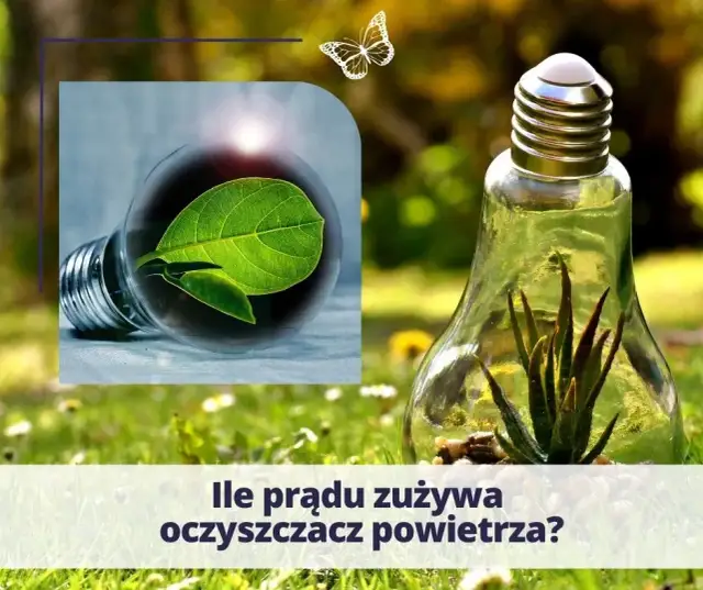 Ile prądu zużywa odświeżacz powietrza? Roczny koszt zaskakuje!