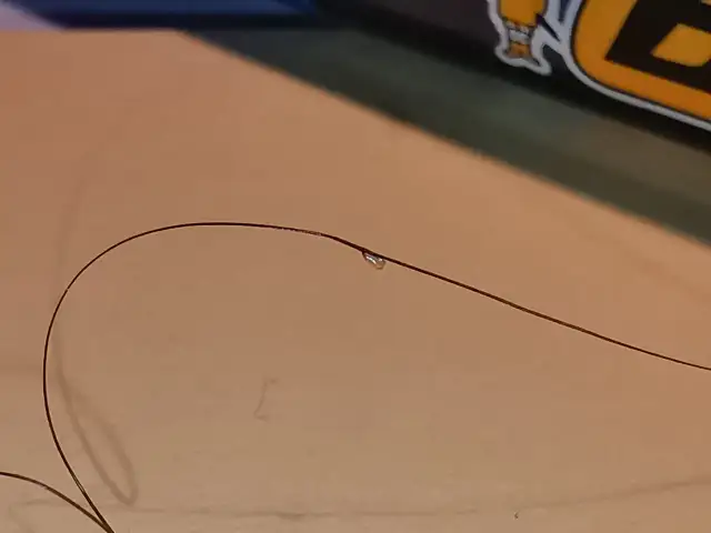 Dziecko z wszami w przedszkolu? Prawo, leczenie i powrót bez stresu