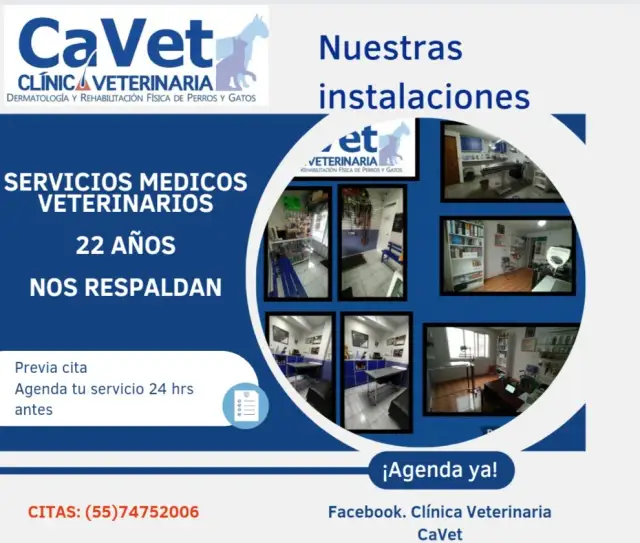 Veterinario del Clínic: Servicios destacados y atención personalizada para tu mascota