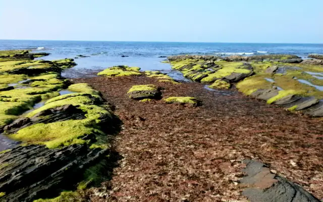 Spanische Seebäder Biskaya: Natur, Kultur & Genuss pur