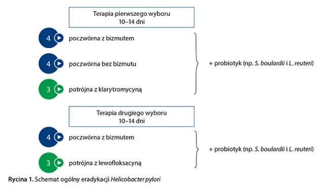 Jak przyjmować leki na helicobacter, aby uniknąć skutków ubocznych
