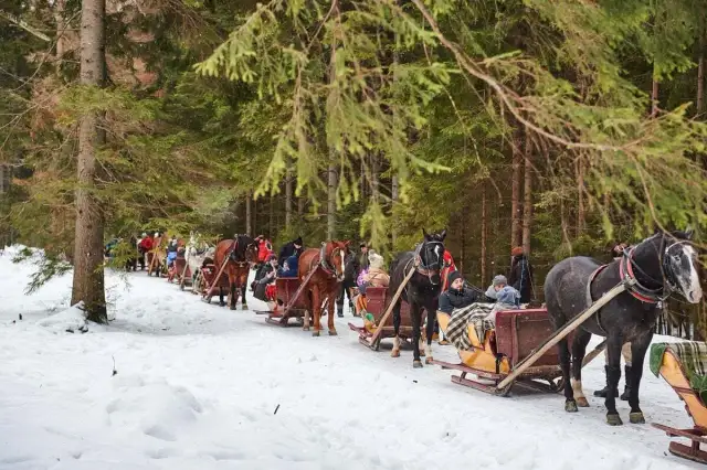 Kuligi Bukowina Tatrzańska - Przeżyj niezapomniane chwile w Tatrach