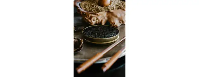 Czy kawior jest wegetariański? Odkryj alternatywy dla wegetarian