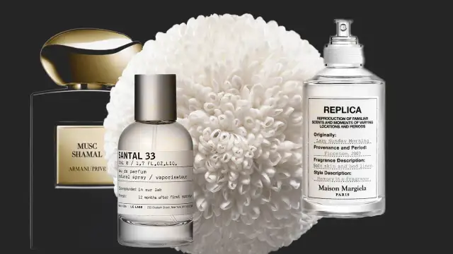 Moschus & Sandelholz: Die besten Parfums & ihre Wirkung