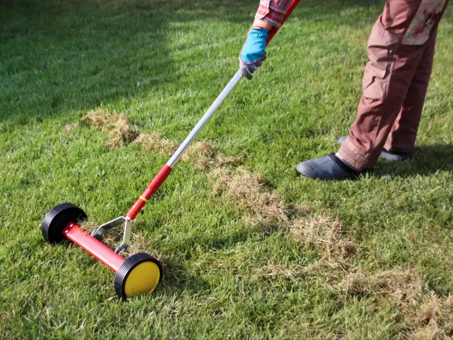 Kiedy wertykulacja trawnika po zimie? Idealny termin i wskazówki