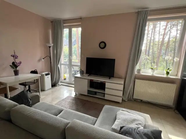 Ile kosztuje mieszkanie w bloku na wsi? Ceny, które zaskakują