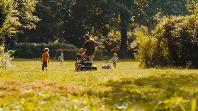 Jak dbać o trawę – Poznaj triki, które zapewnią Ci piękny trawnik