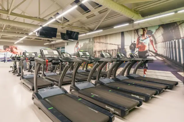 Calypso Warszawa: Lokalizacje, Ceny, Opinie i Promocje