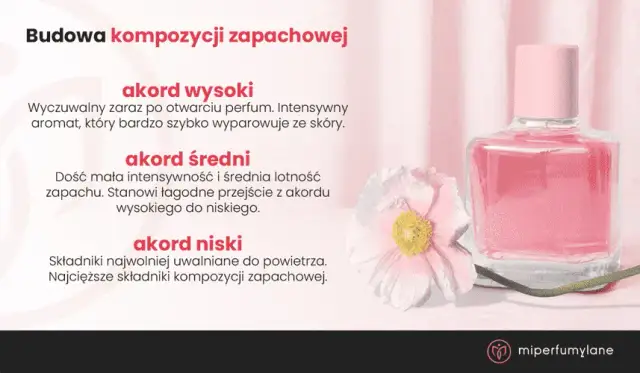 Czym się różnią perfumy od wody perfumowanej? Stężenie to sekret!