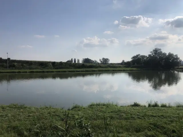 Łowisko Cysterskie: Idealne miejsce na wędkarskie przygody w Owińskach