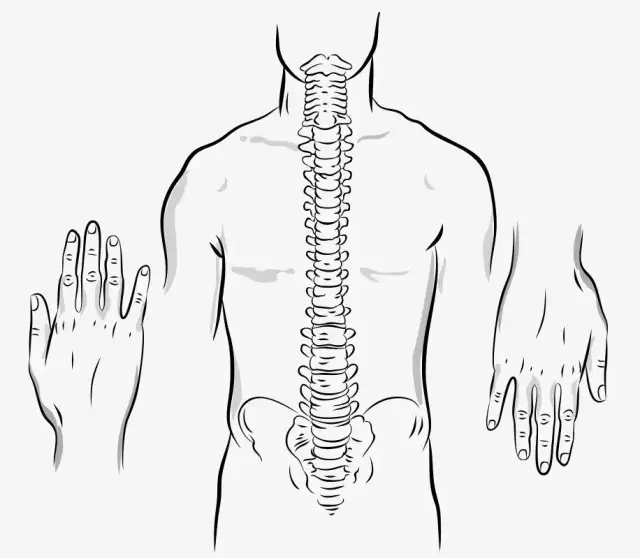Akupunktura Siedlce – ulga w bólu i poprawa zdrowia w Twoim mieście