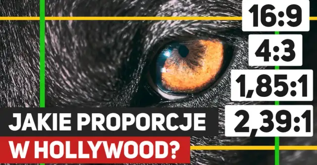 Jak zrobić zdjęcie z filmu? Klatka 4K krok po kroku!