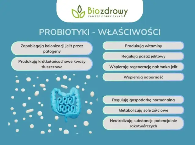 Probiotyki codziennie: czy warto? Bezpieczeństwo i zasady stosowania