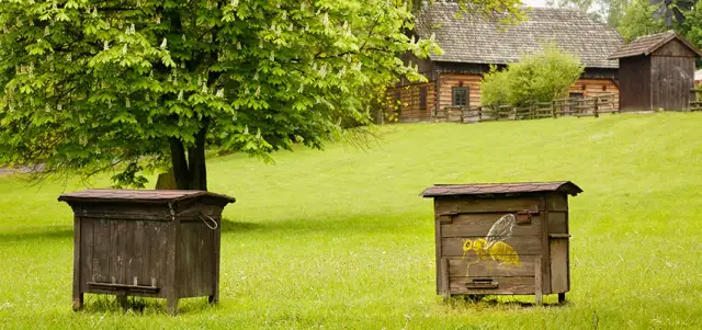 Planujesz wizytę w Skansenie Chorzów? Godziny, bilety, dojazd