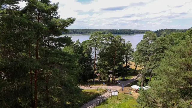 Rezerwaty przyrody na Podlasiu: Odkryj ich niezwykłe tajemnice