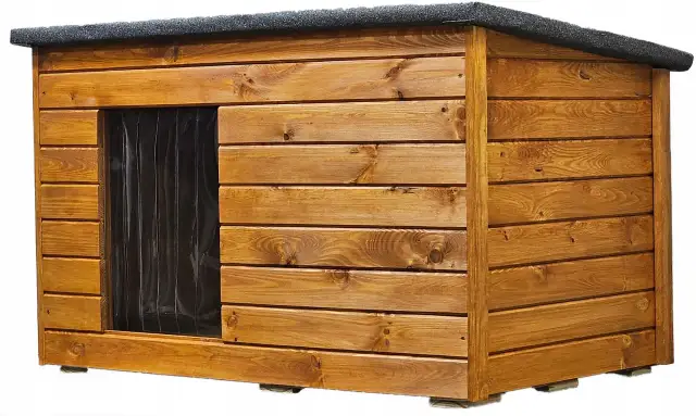 Ile kosztuje buda dla psa? Ceny, które zaskoczą każdego właściciela