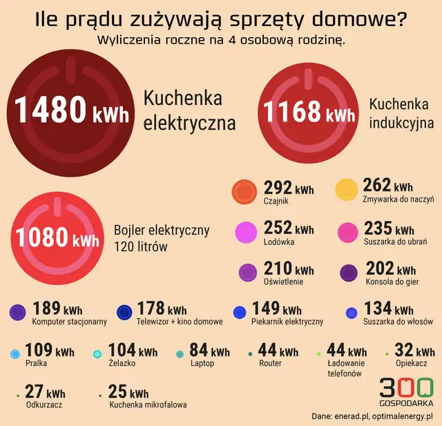 Ile zużywasz prądu miesięcznie? Sprawdź i obniż rachunki!
